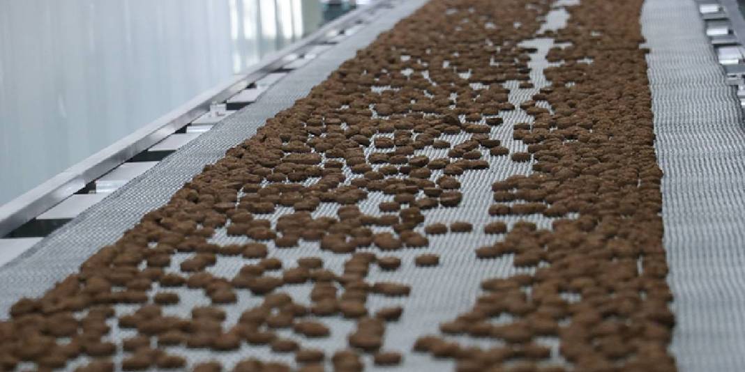 KOSGEB desteğiyle fabrikasını kurdu, çalışmaya başladı! Günde 100.000 paket üretiyor: Yurt dışına bile satıyor 4